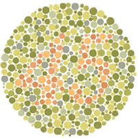 Colour Blindness Test